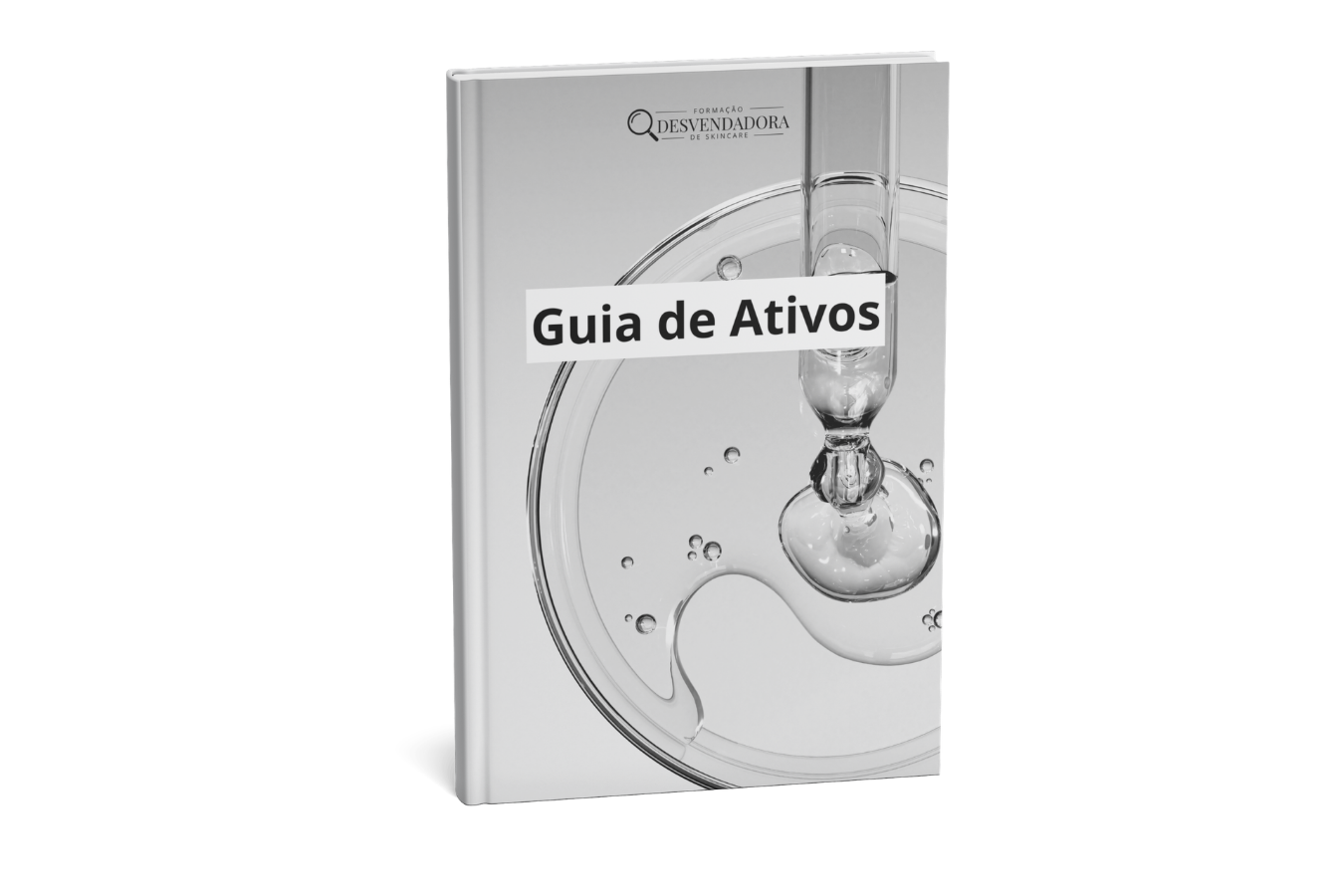 Mockup do bônus Guia de Ativos